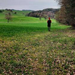 Hügeliger östlicher Hegau