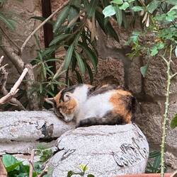 Wollte nicht mit nach Regensburg