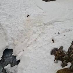 Nos vidéos des cascades