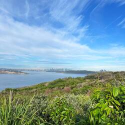North Head Run bei Manly mit Blick auf Sydney CBD