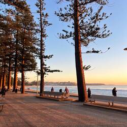 Manly Promenade