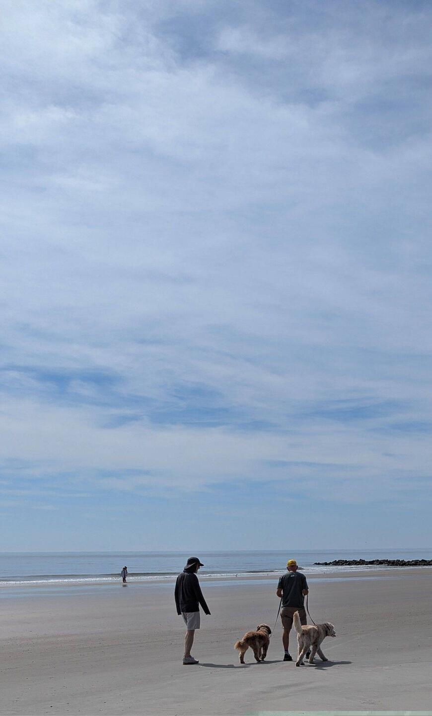 Sean and Mike with Franklin and Teddy