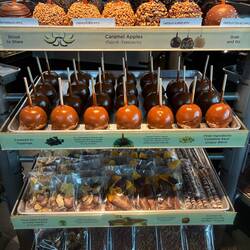 At the Tsawwassen BC Ferries terminal