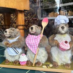 These were animatronic & danced