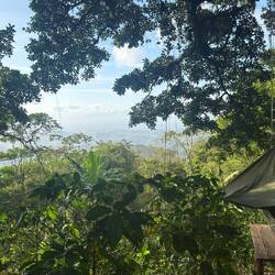 Monteverde Abangares