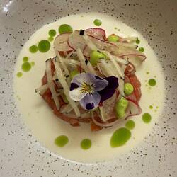 Trout tartare