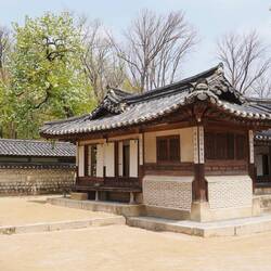 Winterzimmer / Winter room