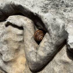 Aphrodisias