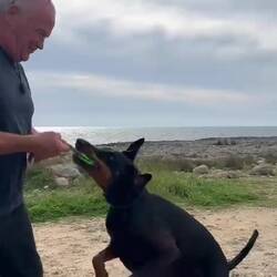 ..wer hat mehr Freude? Schatzi oder der Hund? 😅