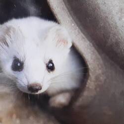 Ein paar Winterimpressionen erinnern daran dass wir nicht allein sind hier draußen