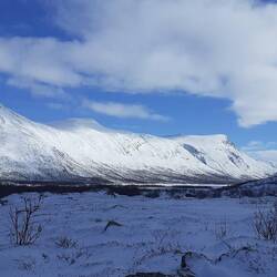 Im Sommer weiden hier unzählige Rentiere