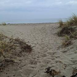Nicht nur Deich, auch Sandstrand