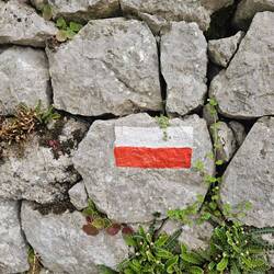 You don't often see a marker this pristine