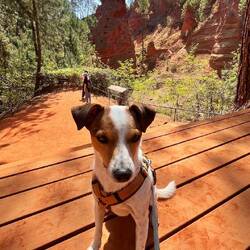 Louie heute auch mal etwas in Pose. Von Quentin isser noch Lichtjahre entfernt 😆