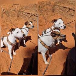 Ute hatte wieder Argumente