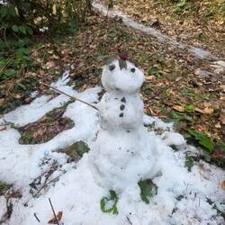 First snowman only 30cm tall