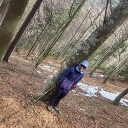 Leaning against a tree to rest