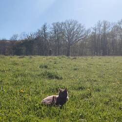 With Esme to supervise