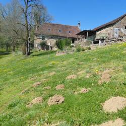 And by the time we were leaving the moles had visited!