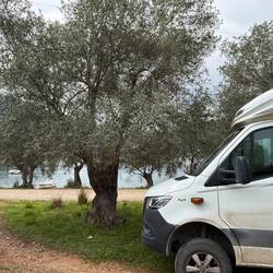 Sosta fra gli ulivi