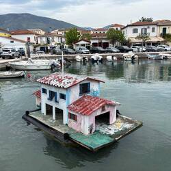 Casetta sull'acqua abitata da un'anatra