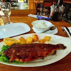 Also wenn die Forellen hier alle so Fett sind lohnt es sich die zu jagen