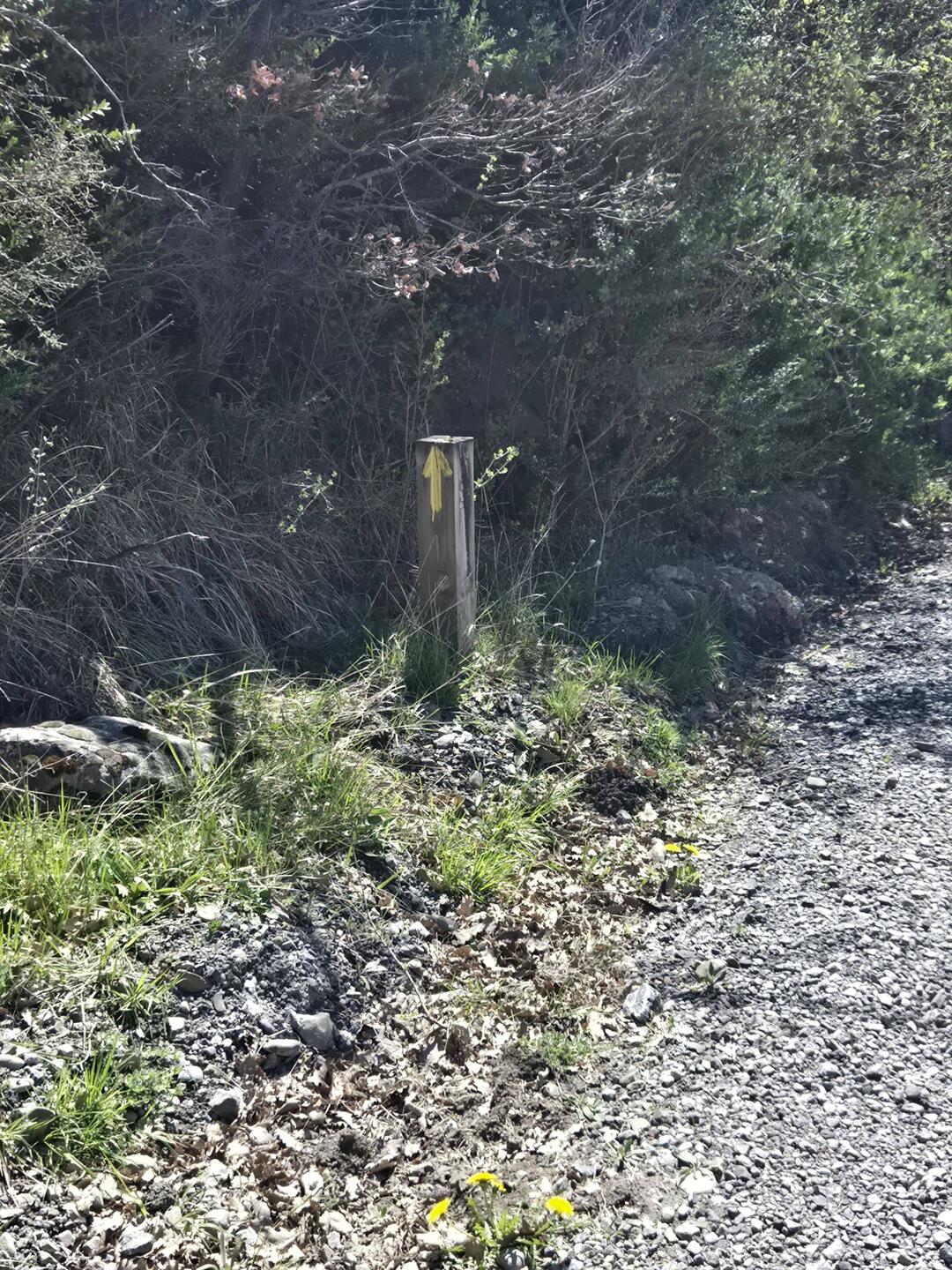 A Camino marker on our longer walk.
