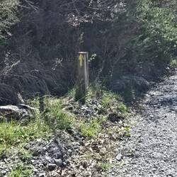 A Camino marker on our longer walk.