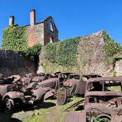 There were alot of abandoned sedan cars