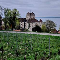 Die Meersburg