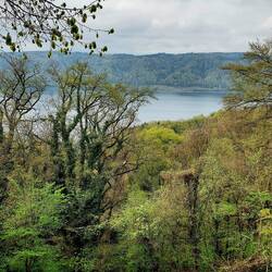Blick vom Haldenhof auf den See