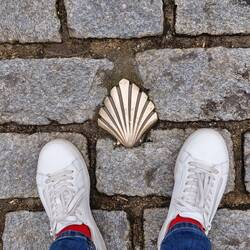 Found the Camino shell Alice - great memories
