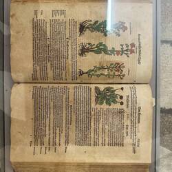 Kräuterbuch von 1578