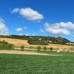 The hill I did not go up at the end of the day