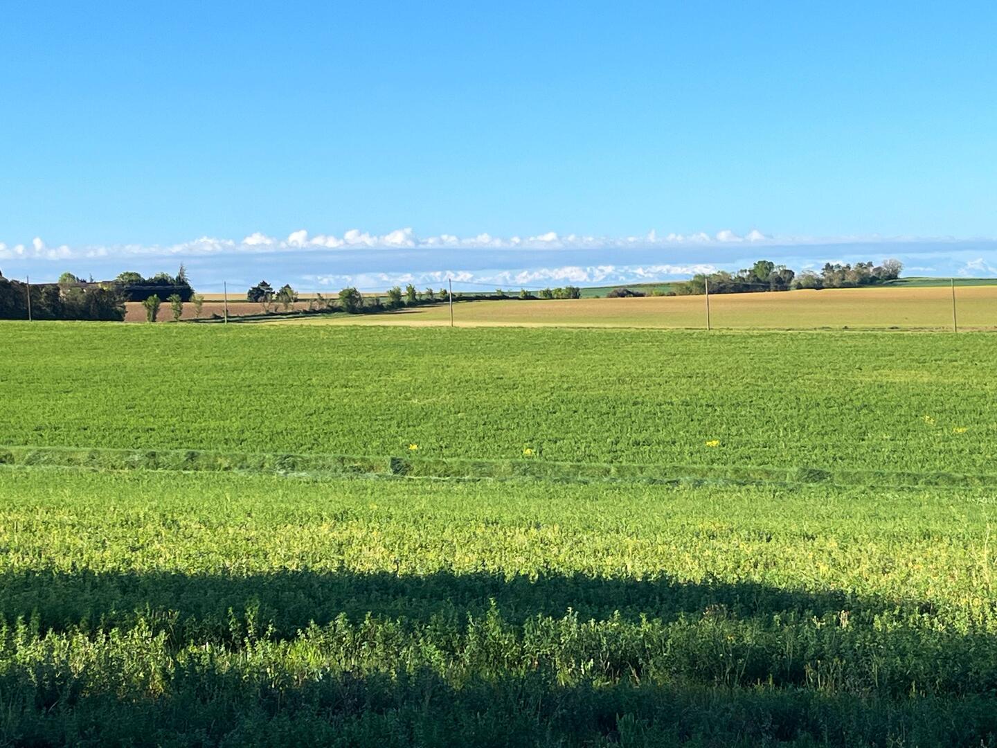 Under the clouds - mountains!