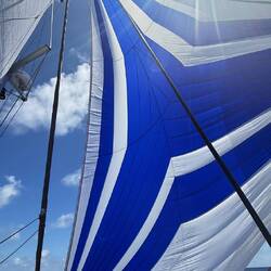 Unser Gennaker, ein Reacher.