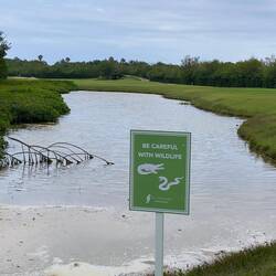 ...aber gesehen haben wir keine