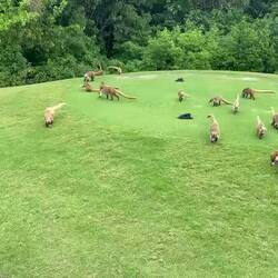 ...die einfach süss...aber auch frech...