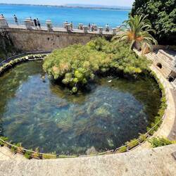 Fonte Aretusa, Süßwasserquelle direkt am Meer