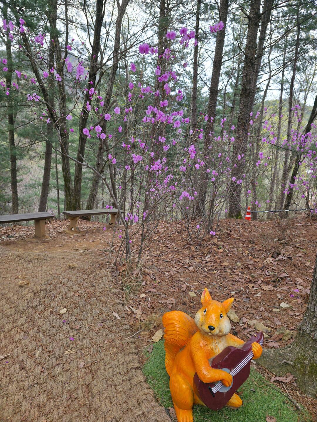 Ein strammer Waldspaziergang führt uns zur Hängebrücke