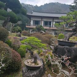 Garden of Morning Calm