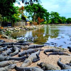 Wieder zurück in der Farm