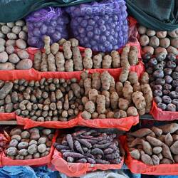 In Peru gibt es über 3.000 verschiedene Kartoffelsorten.