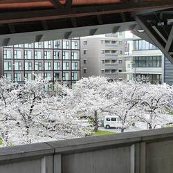 Leaving Kyoto... 🥹
