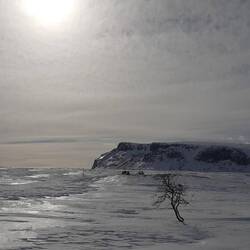 oben angekommen hört der Wald auf und ei weites Plateau öffnet sich