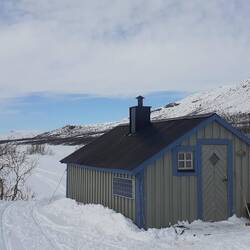 in Petsaure sind alle ausgeflogen