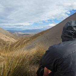 Contemplating the Trail Ahead