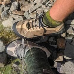 Wet Shoes