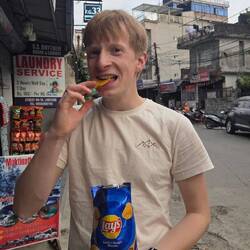 Wir testen weiter Chipssorten