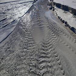 Das Pril, welches mein Handy aufnahm